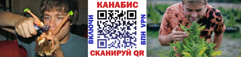купить  цена  Афипский  Марихуана сатива 