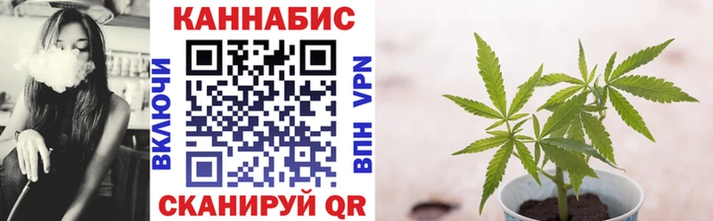 Бошки Шишки планчик Афипский